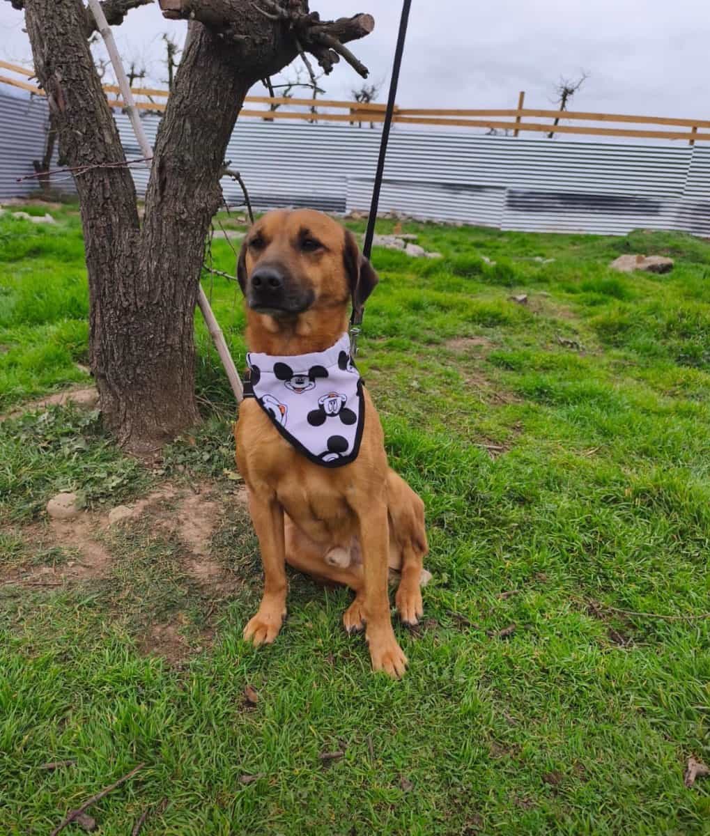 Foto de Feliz