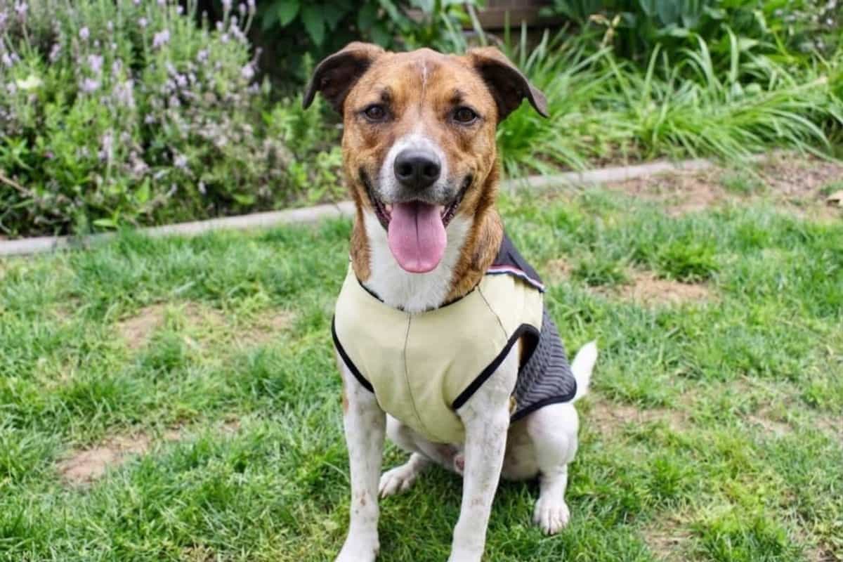 Foto de Max