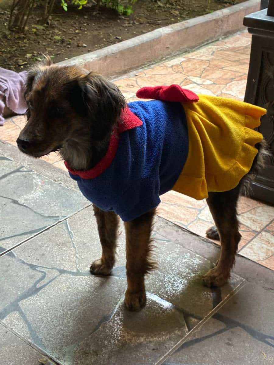 Foto de Bella