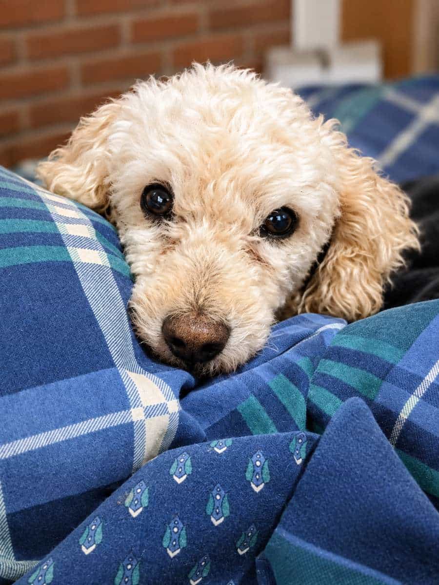 Foto de Martín