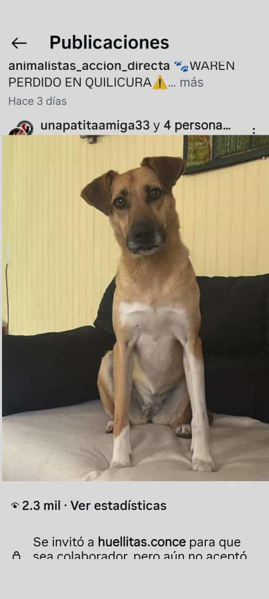 Foto de Galletita 🩷