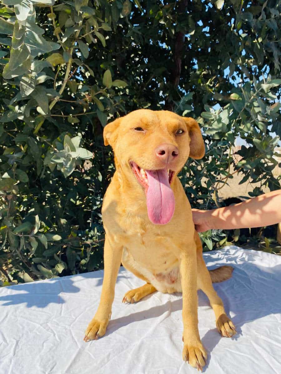 Foto de Olivia