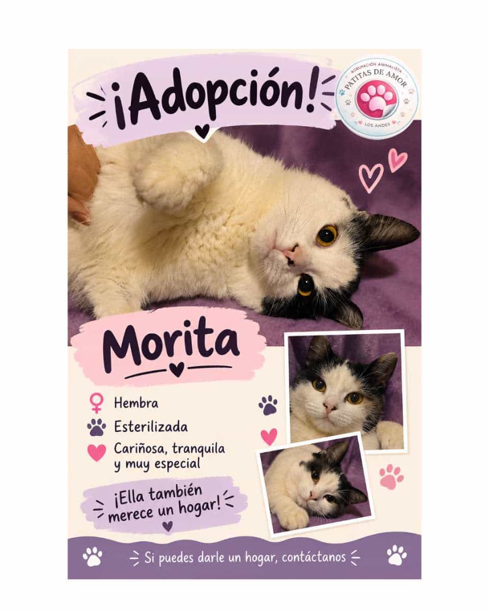 Foto de Morita