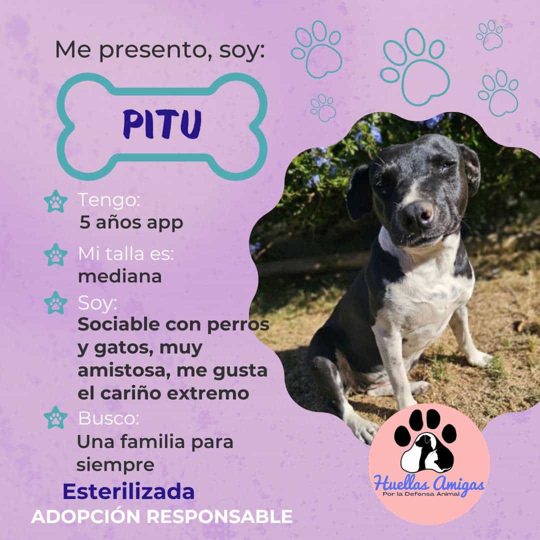 Foto de Pitu