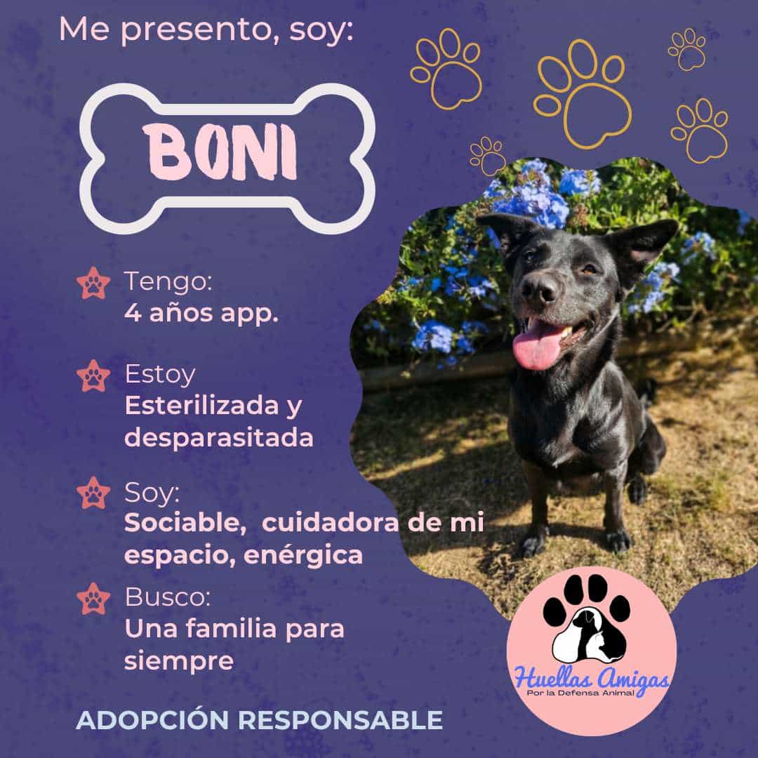 Foto de Boni