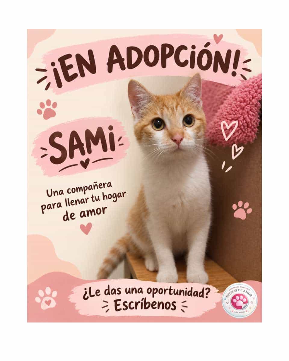 Foto de Sami