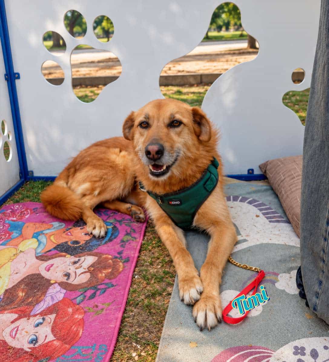 Foto de Timi