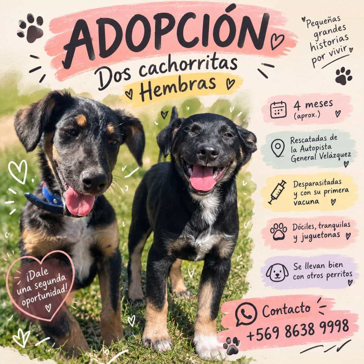 Foto de Vaquita y Margarita