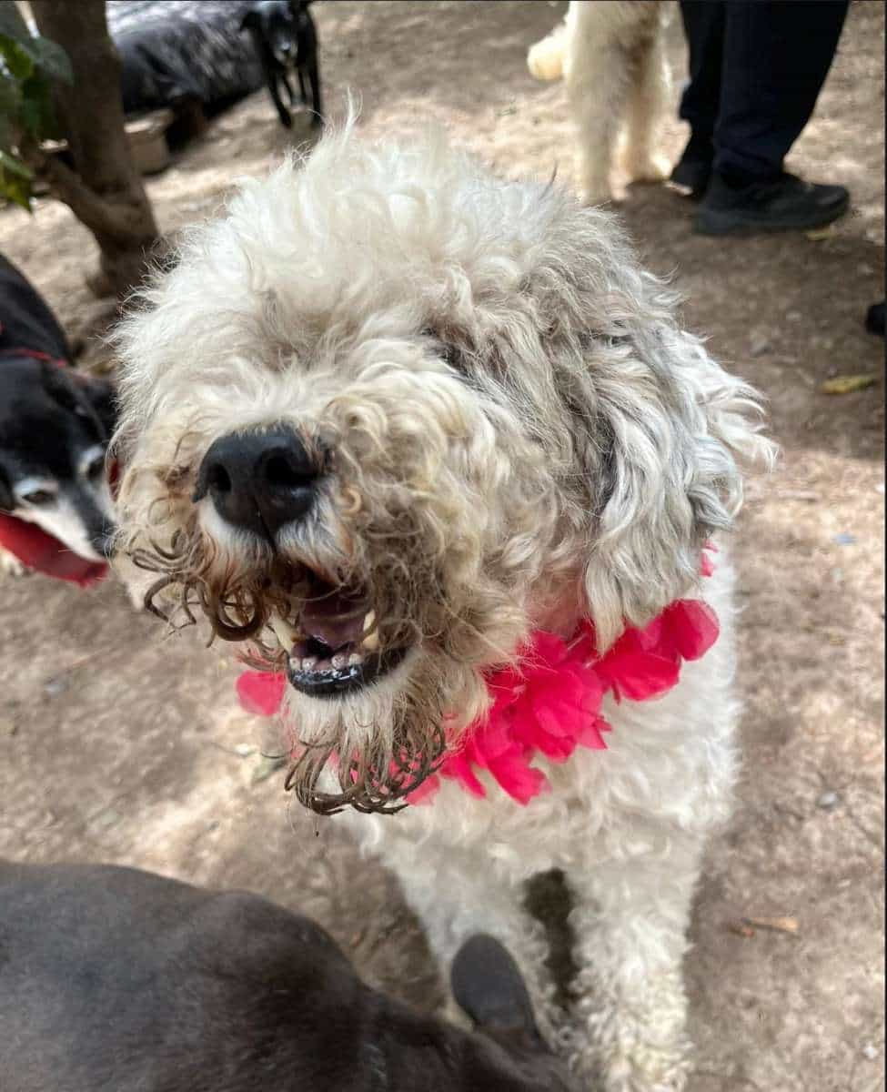 Foto de Lula