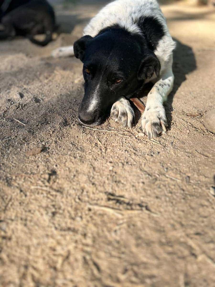 Foto de Blanquita
