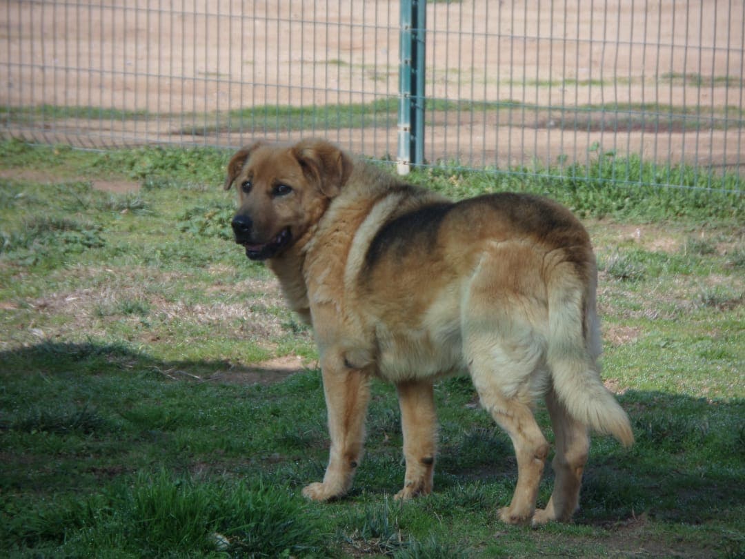 Foto 1