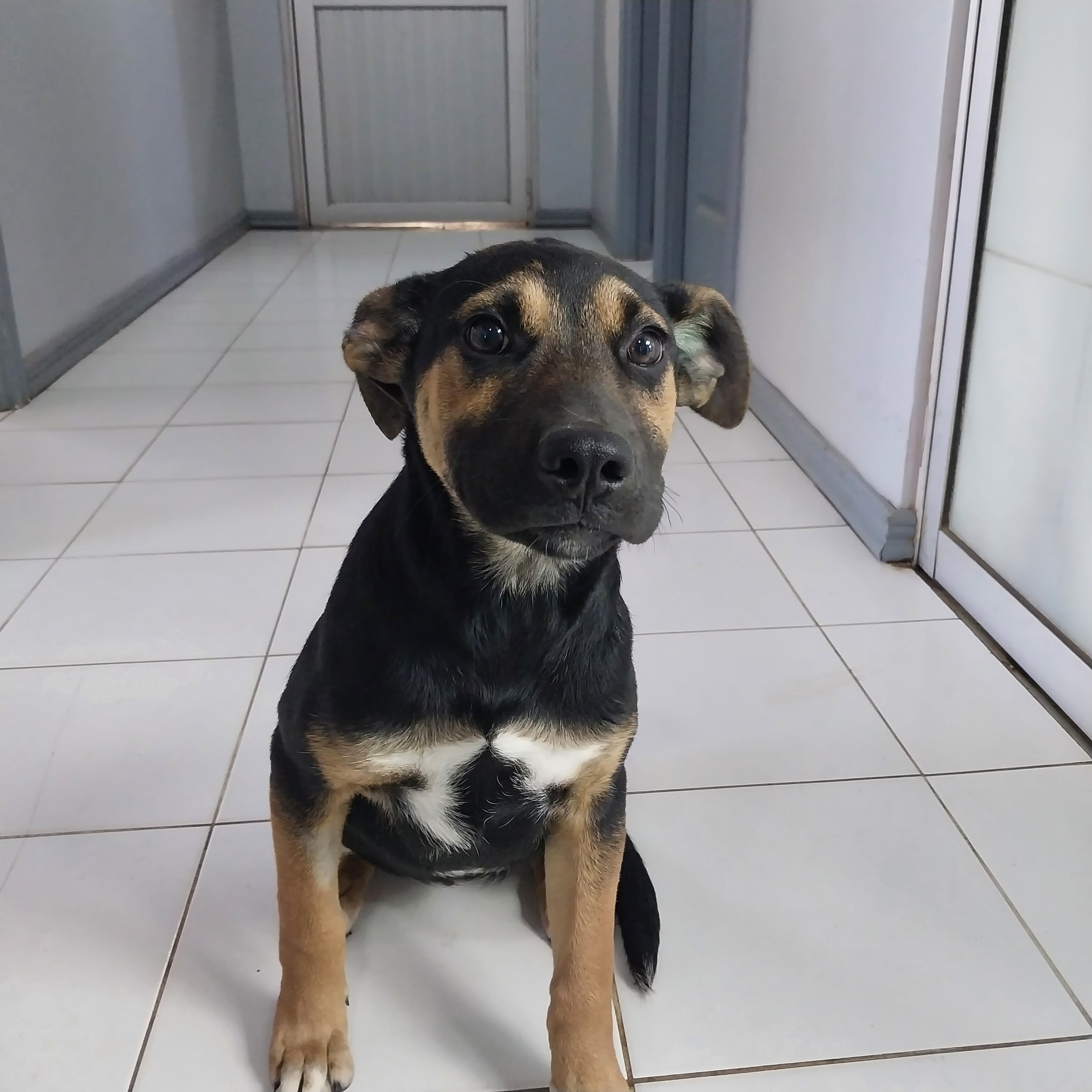 Foto 4