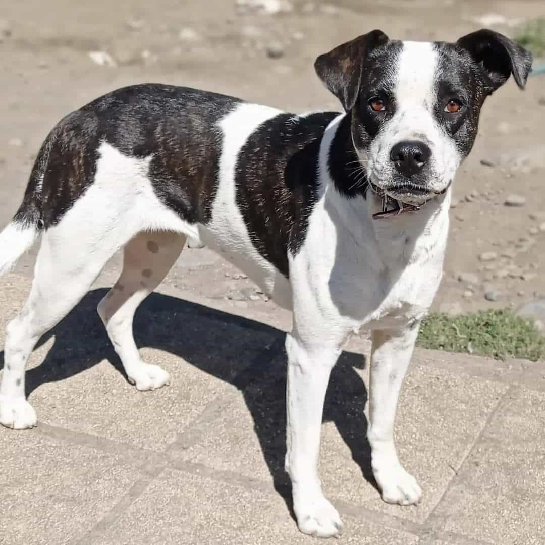 Foto de Delilah