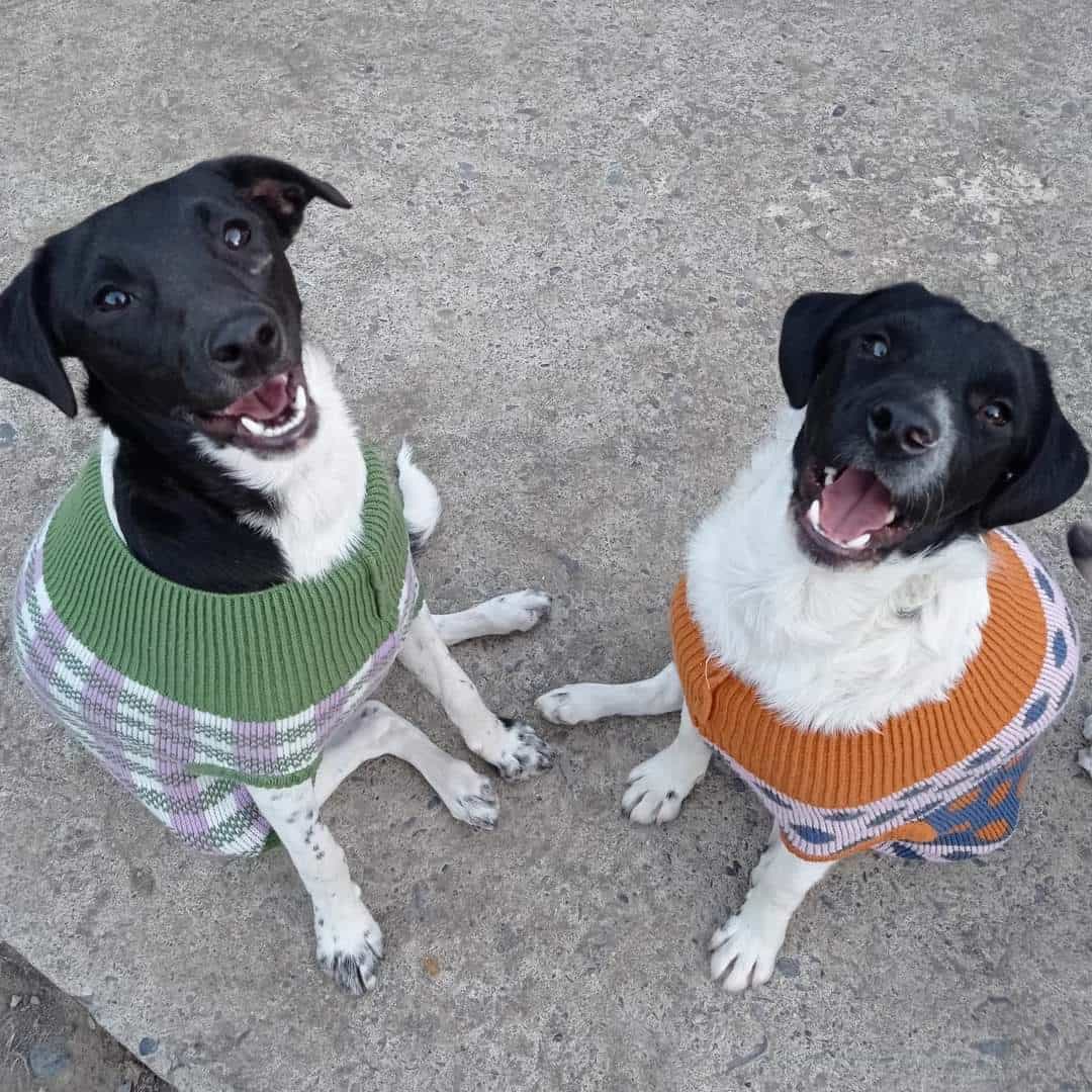 Foto de Wakito & Pipe