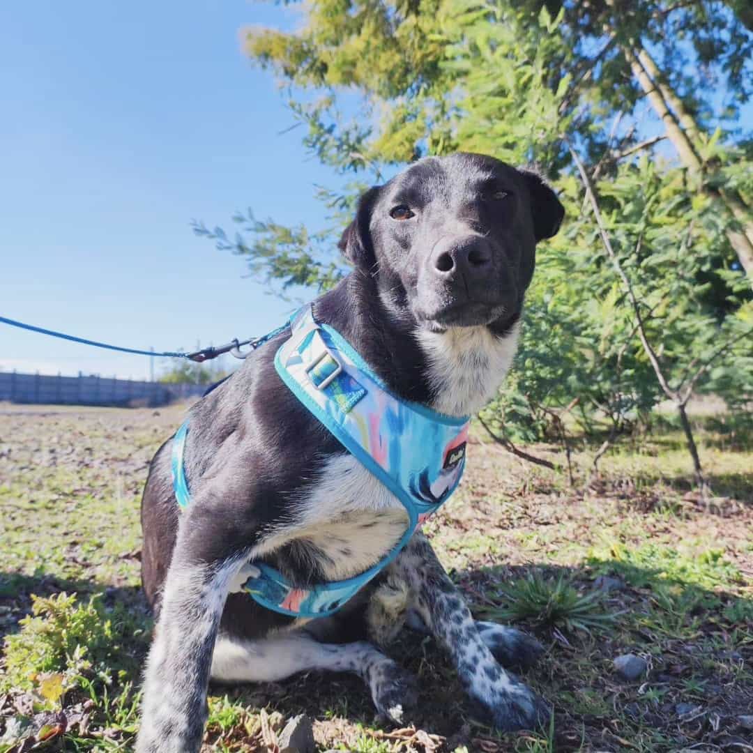 Foto de Manchita