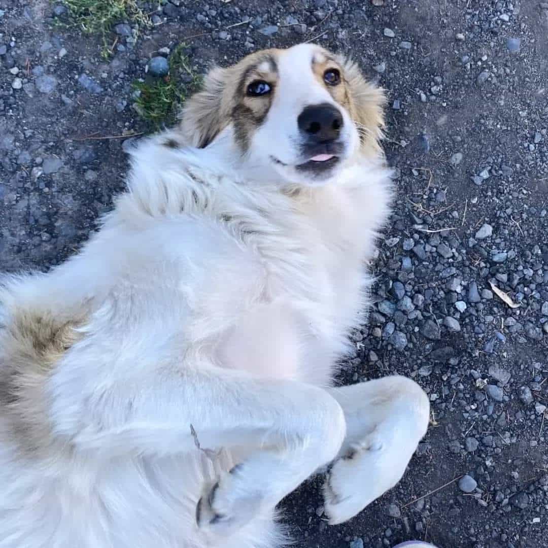 Foto de Lulú