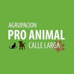 Pro Animal Calle Larga