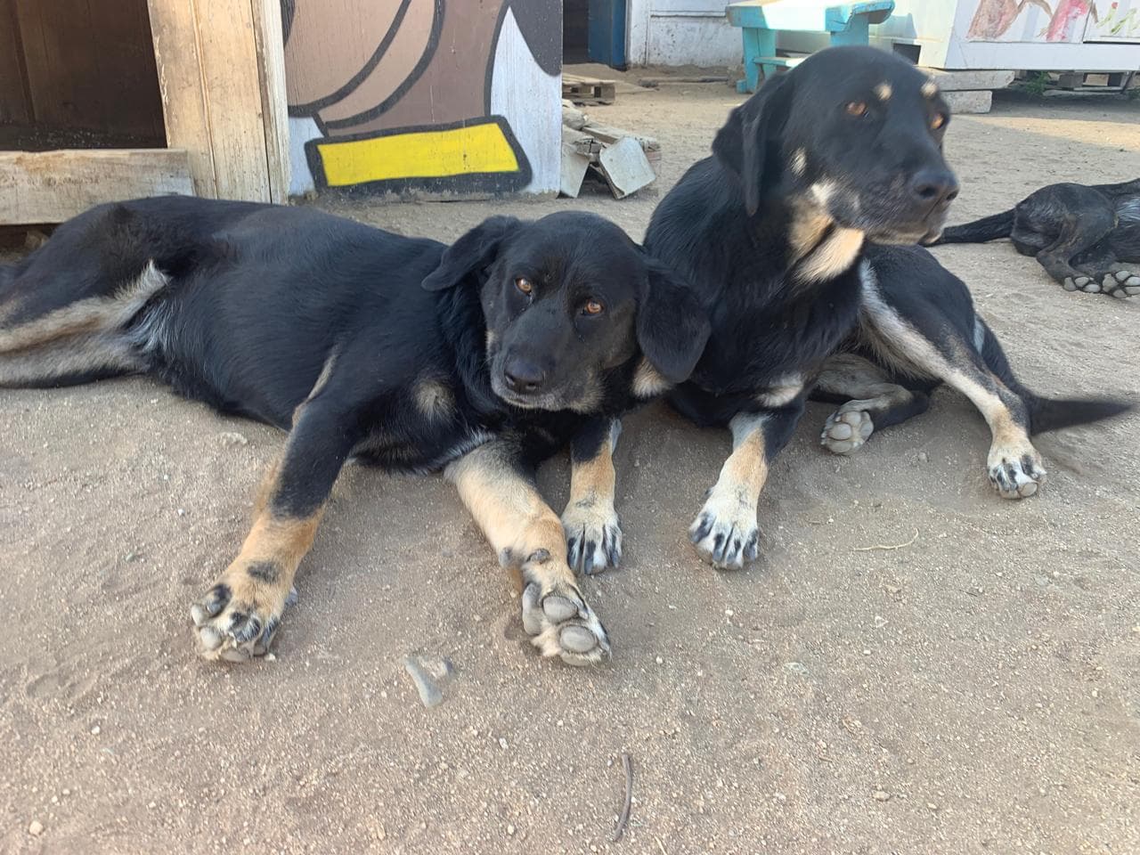 Foto 4