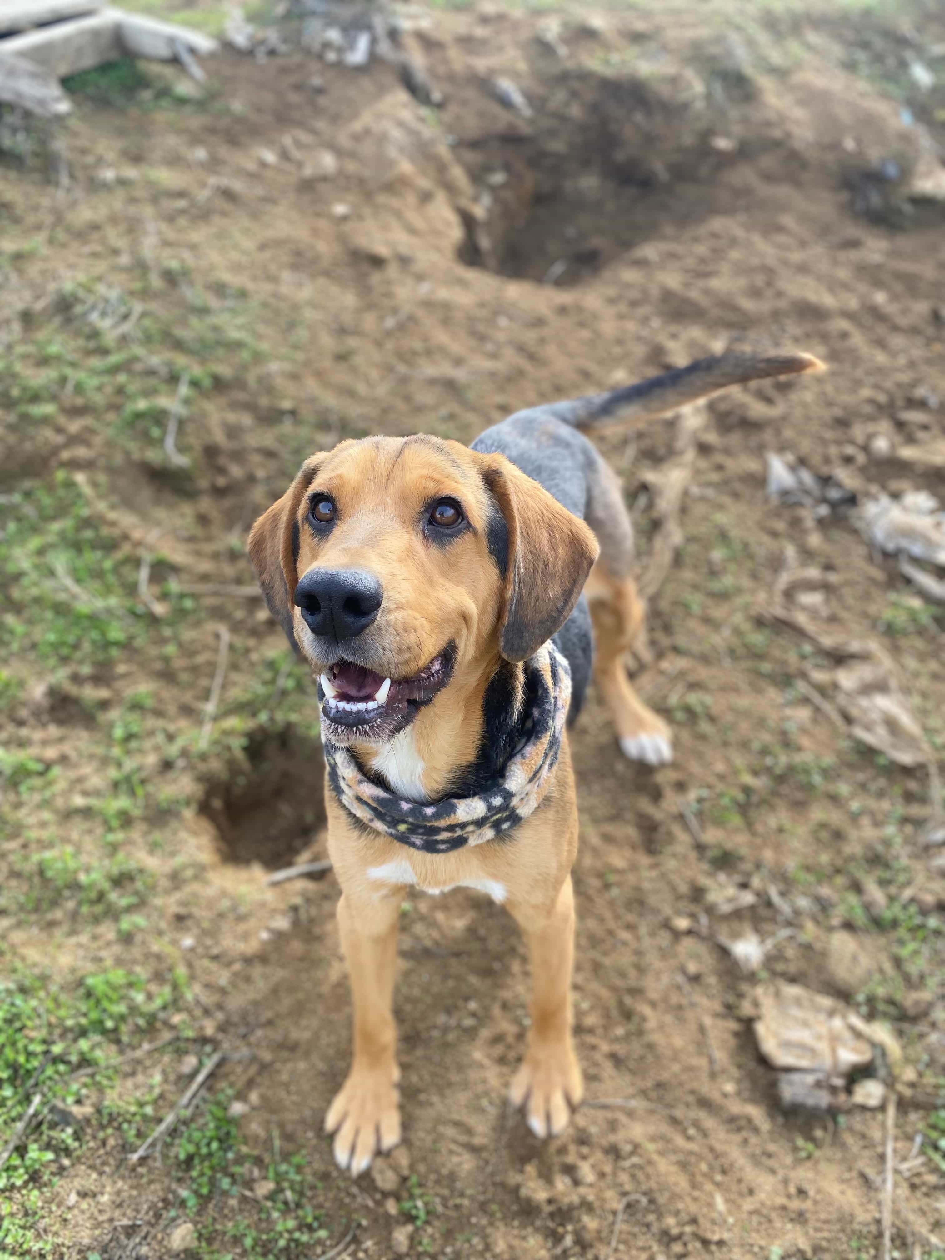 Foto de Momo