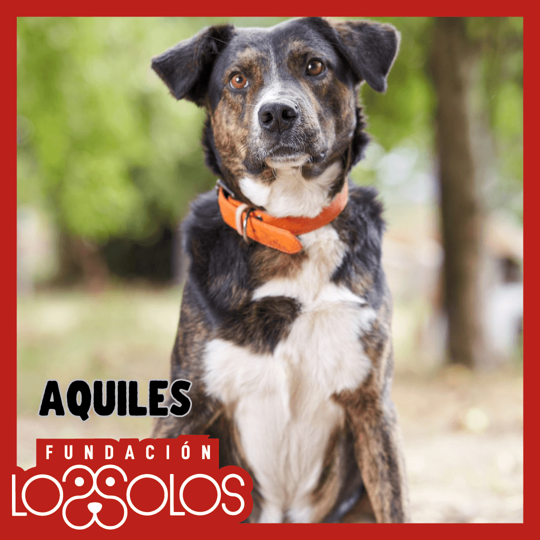 Foto de Aquiles