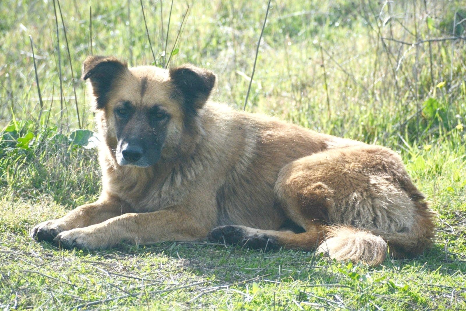 Foto 4