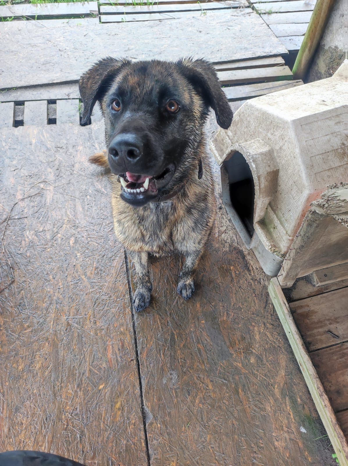 Foto 1