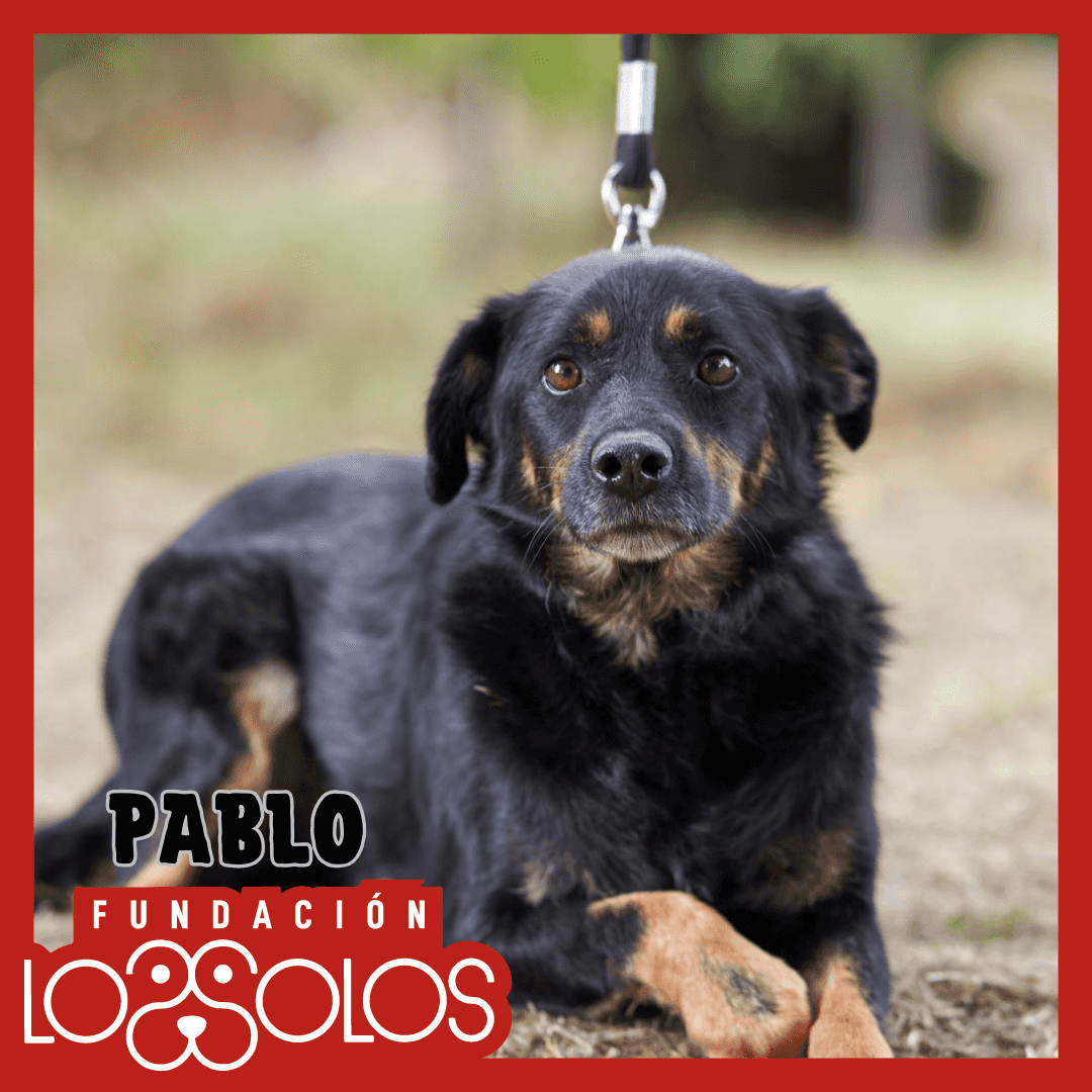 Foto de Pablo