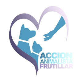 Acción Animalista Frutillar