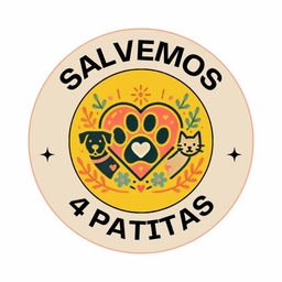 Salvemos 4 Patitas