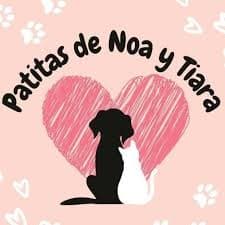 Patitas de Noa y Tiara