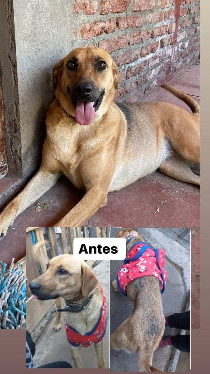 Foto 5