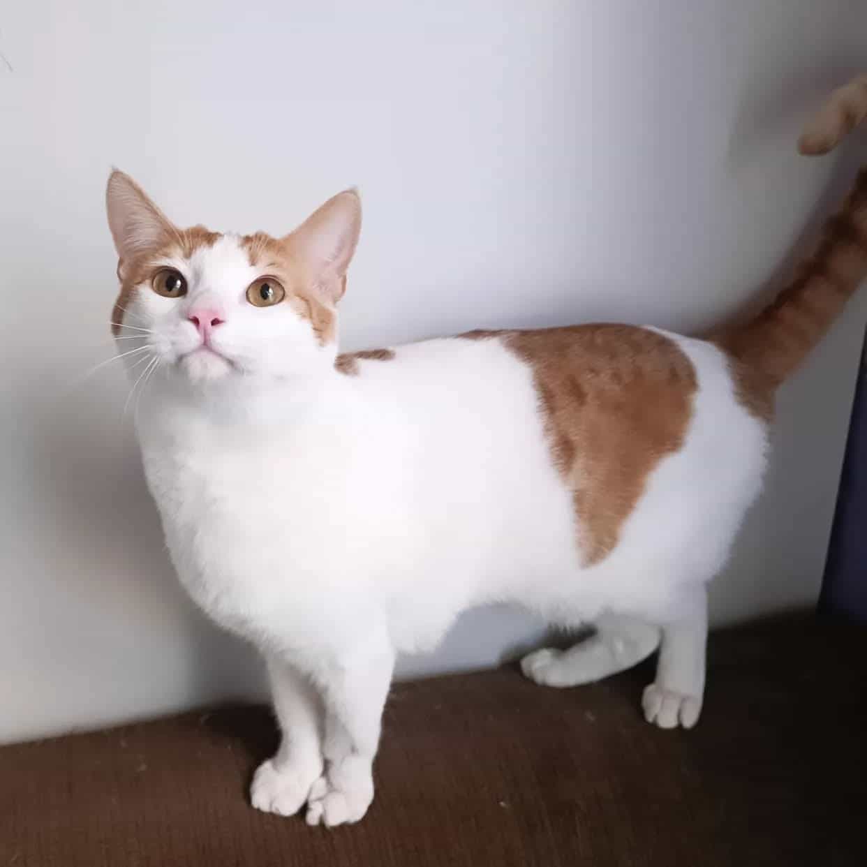 Foto de Claudito