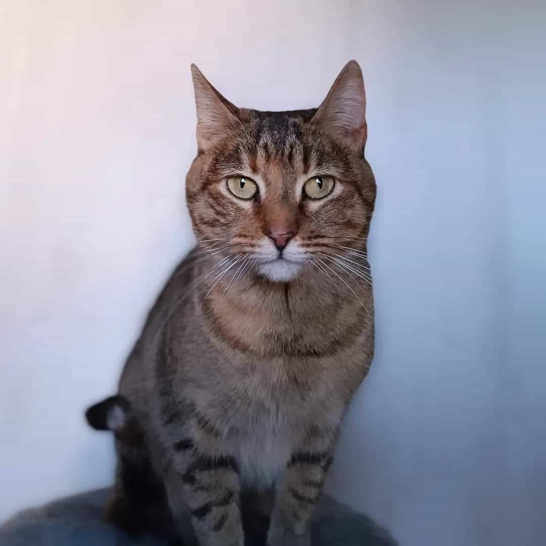 Foto de Malula
