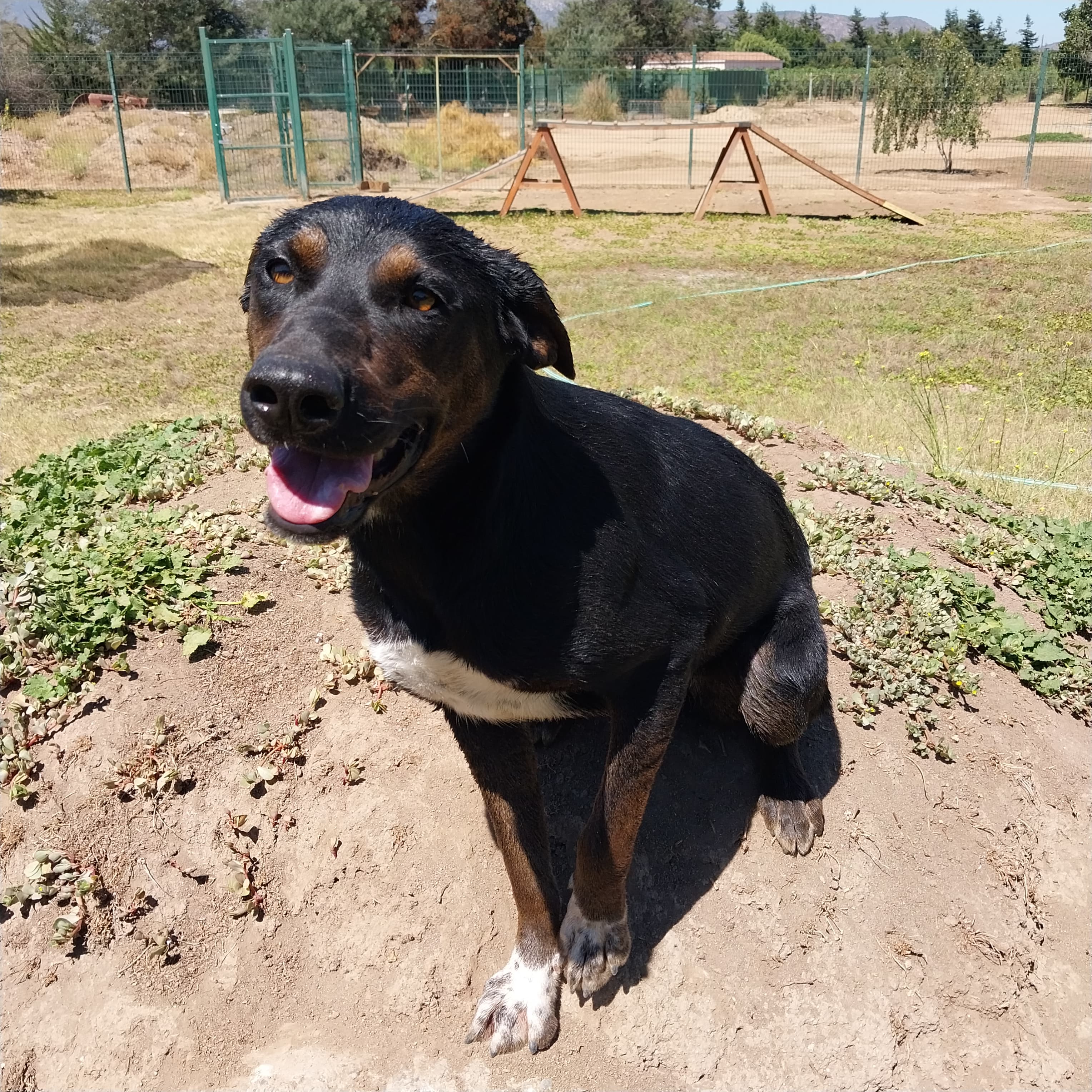 Foto 4