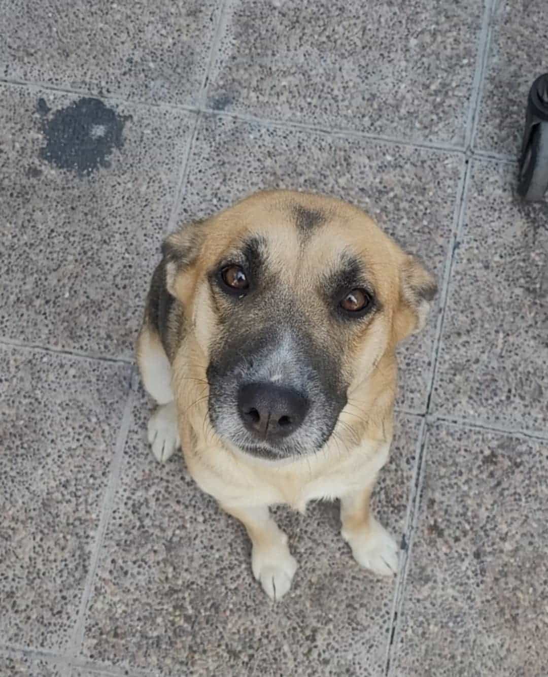 Foto de Niña