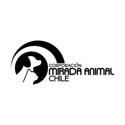 Mirada Animal