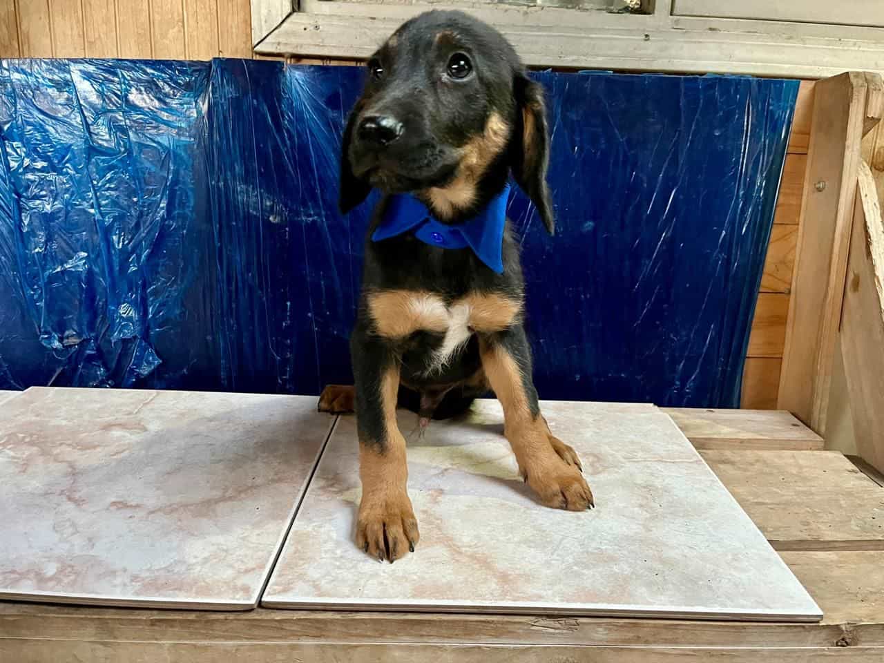 Foto de Lucas