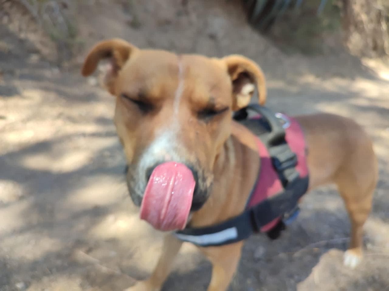 Foto 4