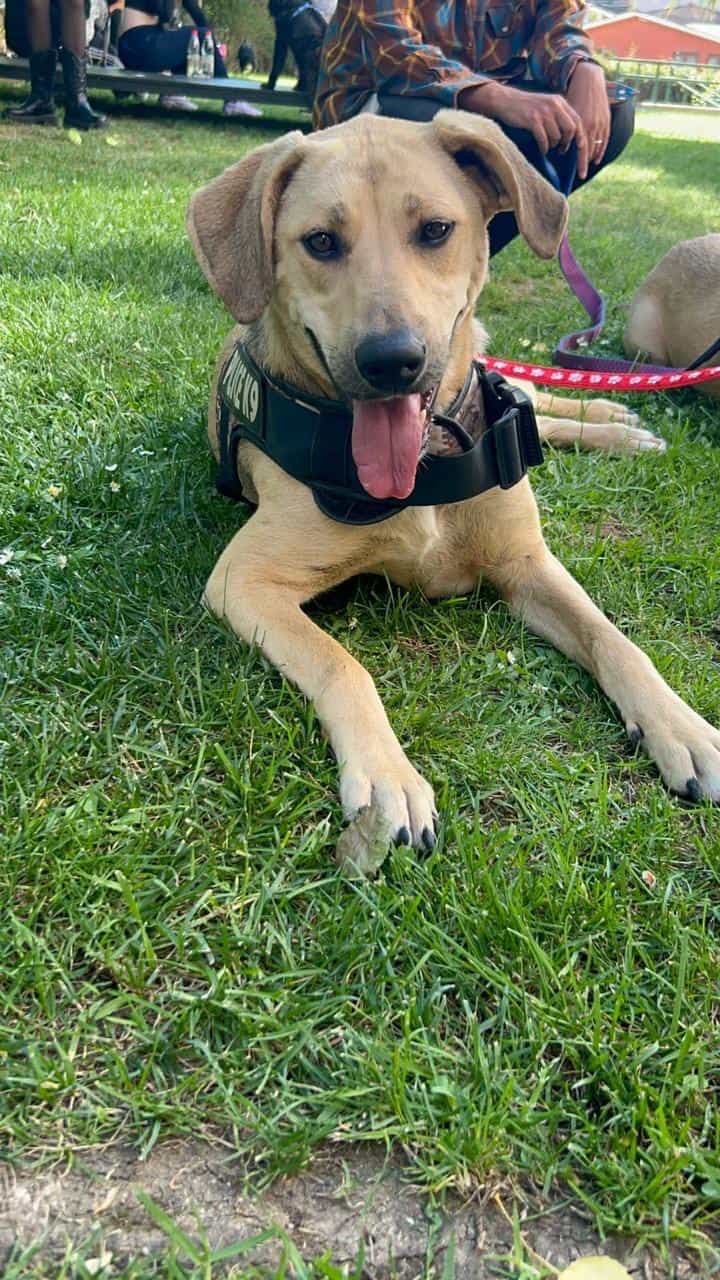 Foto de Elsa
