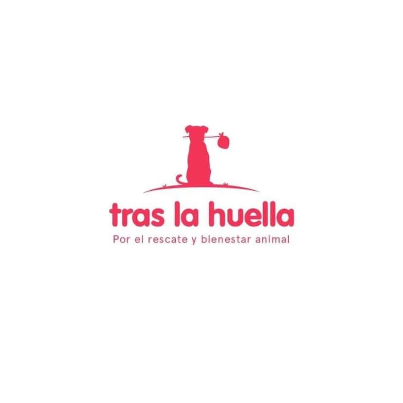 Tras la Huella