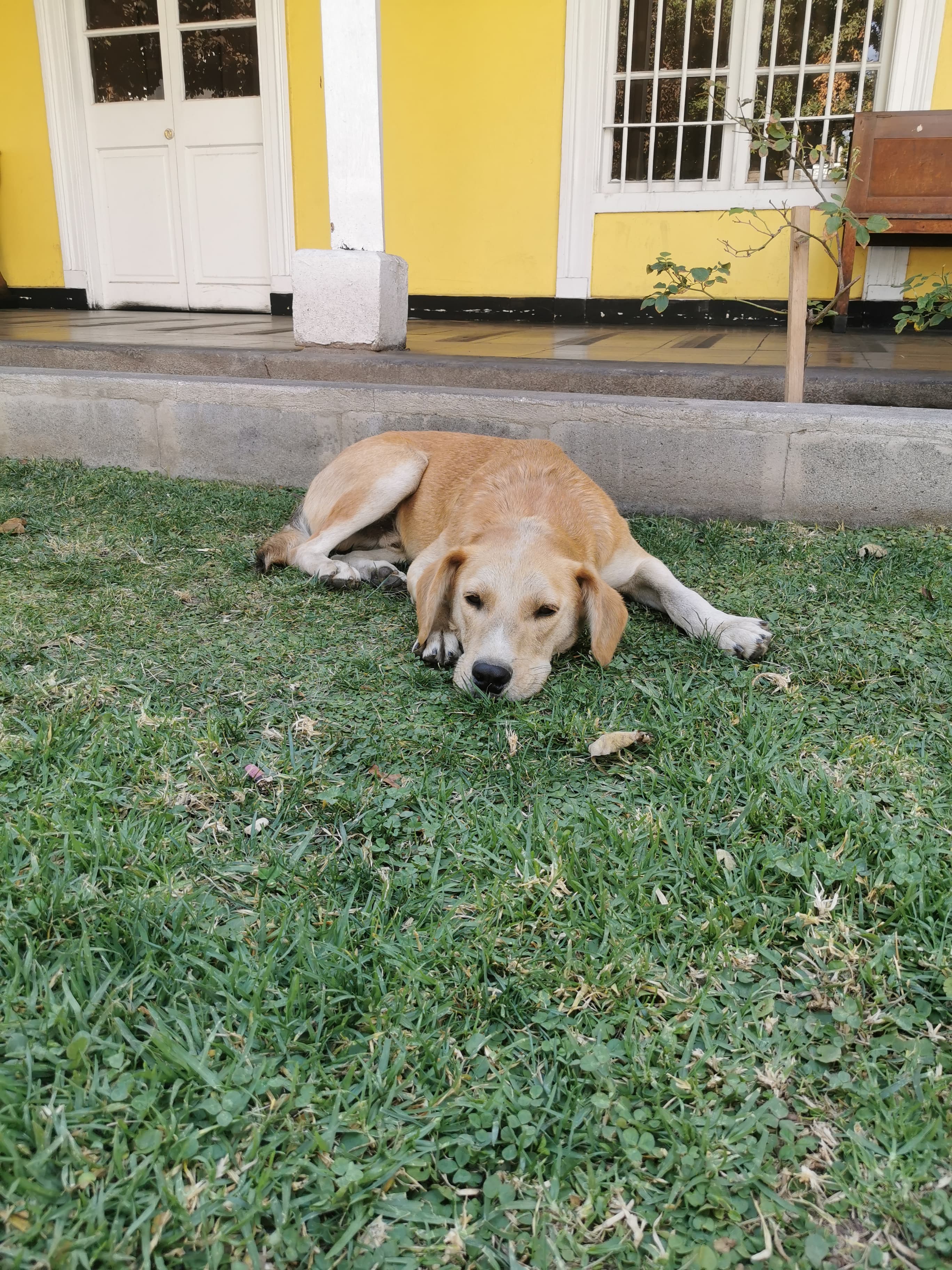 Foto 4
