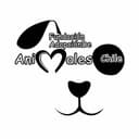 Refugio Fundación ADACH en -, Región Metropolitana