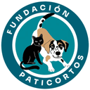 Refugio Fundación Paticortos en Santiago, Región Metropolitana