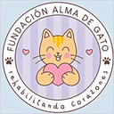Refugio Fundación Alma De Gato en Santiago, Región Metropolitana