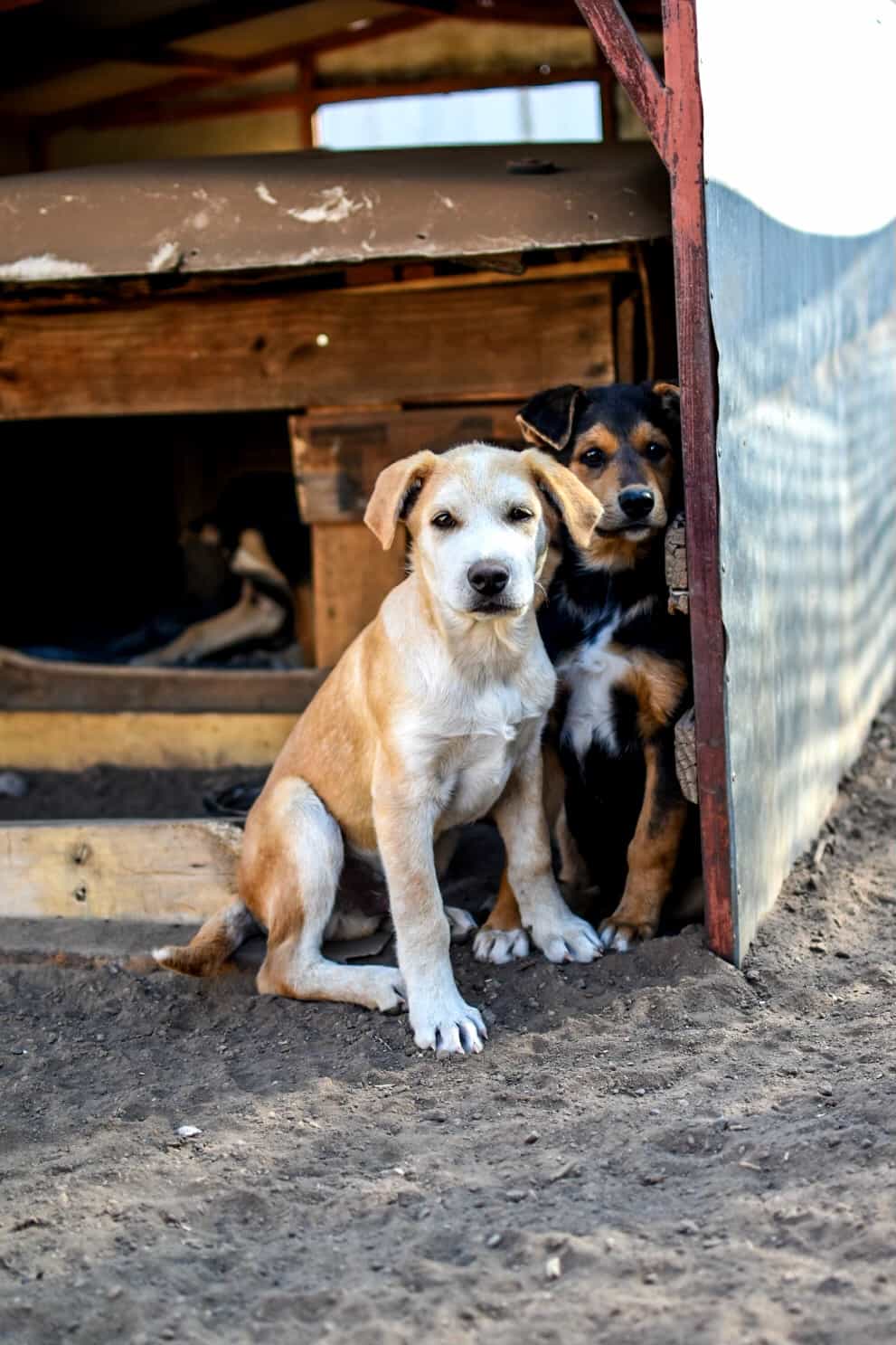 Foto de Rudy "Cheetos"