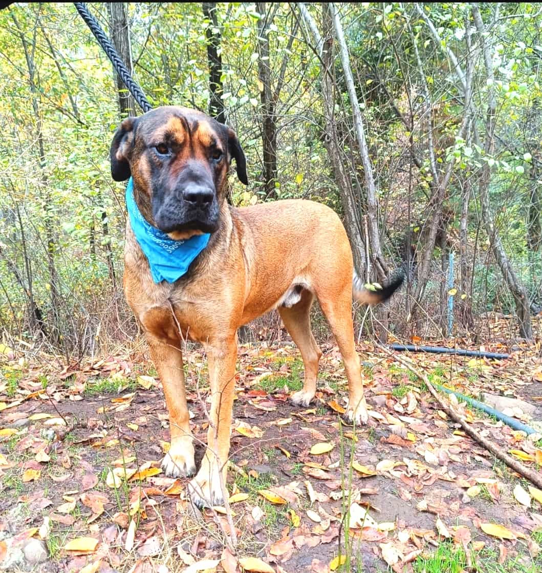 Foto de YUSEFF alias 'Gigantografia de amor'