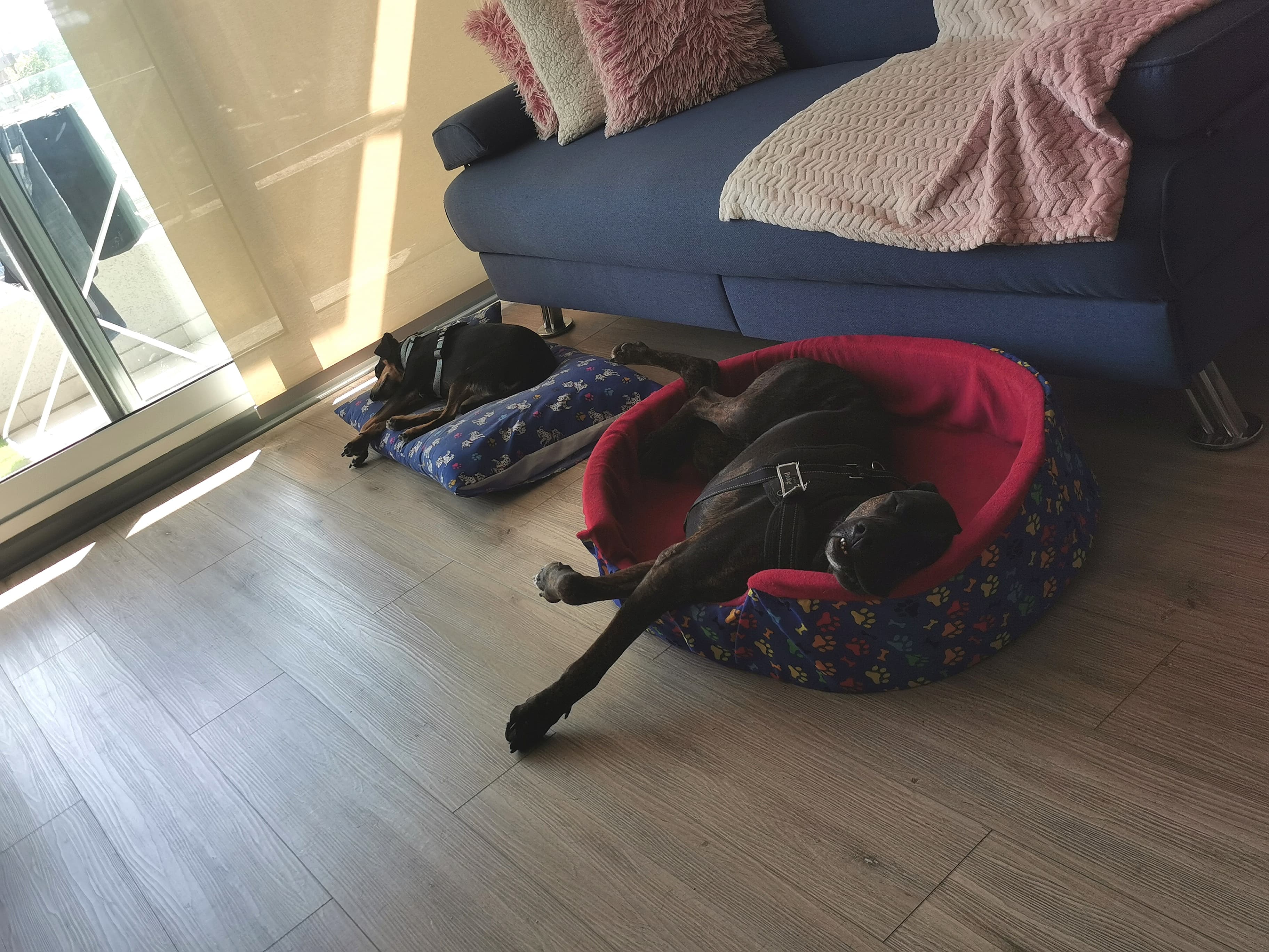 Foto 12
