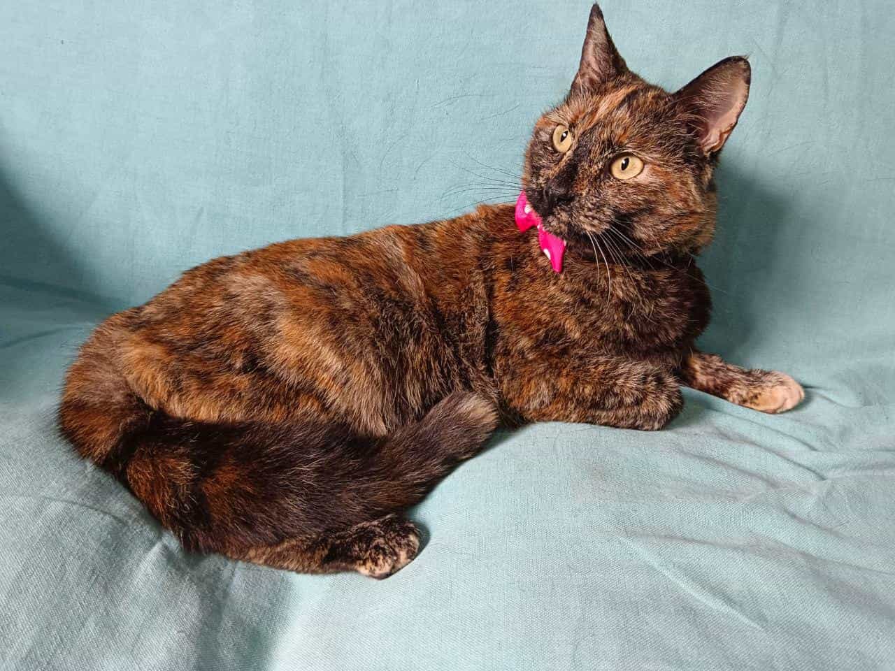 Foto de Tina