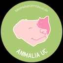 Refugio Animalia UC en Santiago, Región Metropolitana