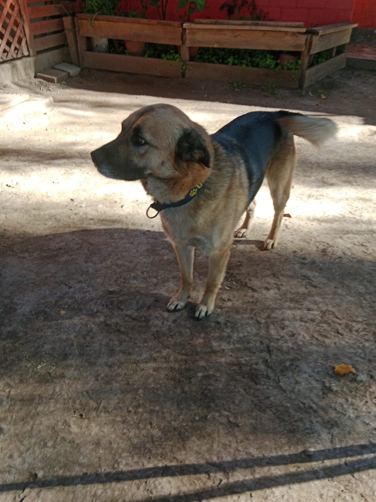 Foto 4